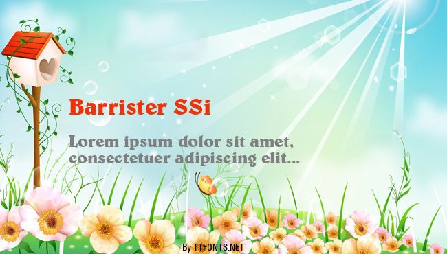 Barrister SSi example